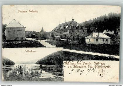 13583829 - Schluchsee