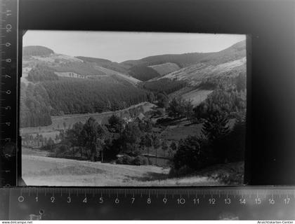 30105969 - Schmallenberg