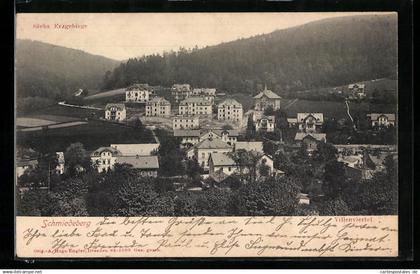 AK Schmiedeberg / Erzgeb., Villenviertel