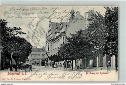 13262892 - Schoenebeck Elbe