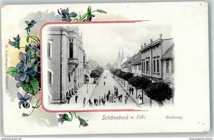 13458460 - Schoenebeck Elbe