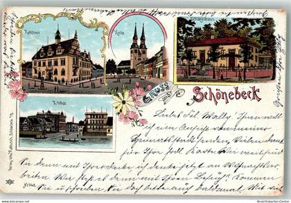 13554169 - Schoenebeck Elbe