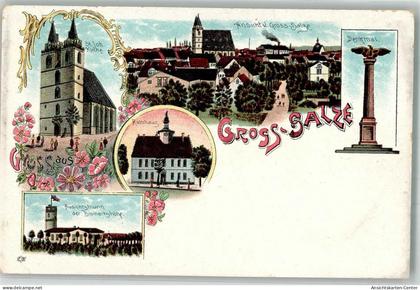 13555304 - Bad Salzelmen Schoenebeck Elbe