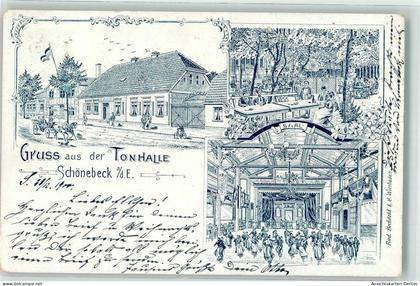 13626530 - Schoenebeck Elbe