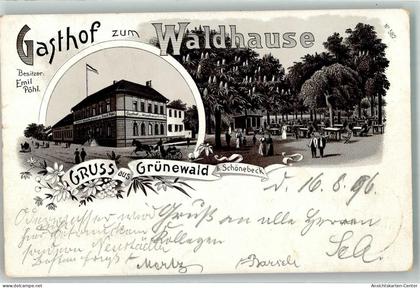 13635218 - Schoenebeck Elbe
