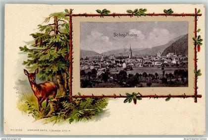 13579769 - Schopfheim