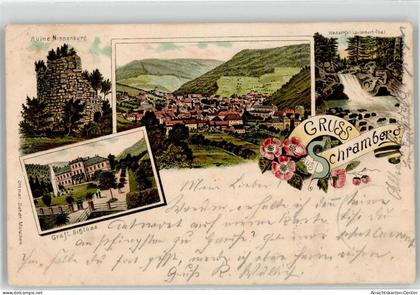 52061009 - Schramberg