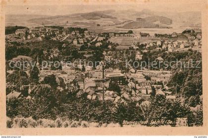 Sebnitz Panorama