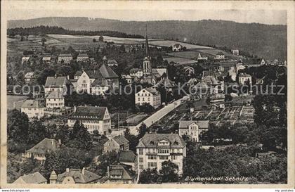 Sebnitz Stadtblick