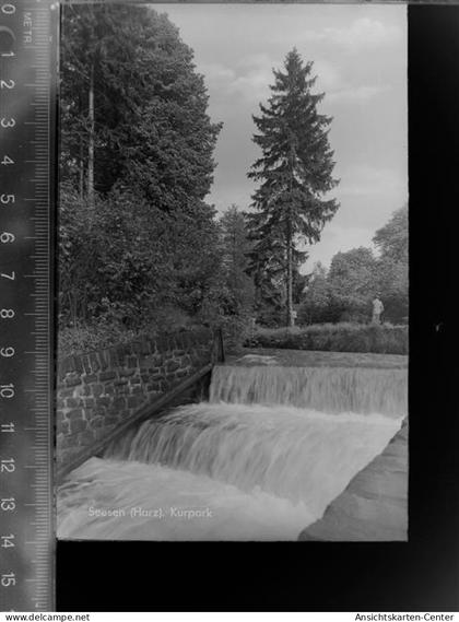 30059379 - Seesen , Harz