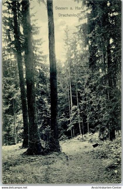 51454547 - Seesen , Harz