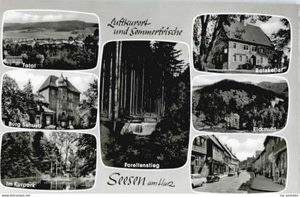 Seesen Harz Seesen Forellenstieg Burg Sehusa Eickmuhl