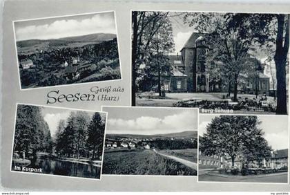 Seesen Harz Seesen Kurpark Burg Sehusa