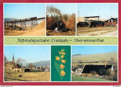 Cranzahl Sehmatal Viadukt Bergfahrt Lokeinsatz Oberwiesenthal Hammerunterwiesent