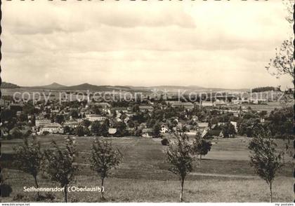 Seifhennersdorf Panorama
