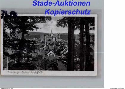 50282084 - Sigmaringen