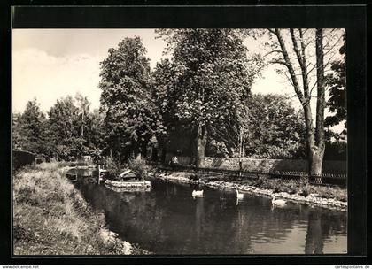 AK Kölleda b. Sömmerda, Partie am Schwanenteich