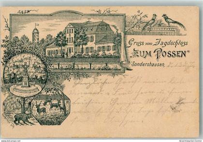 13670898 - Sondershausen , Thuer