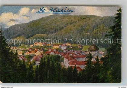St Blasien Gesamtansicht
