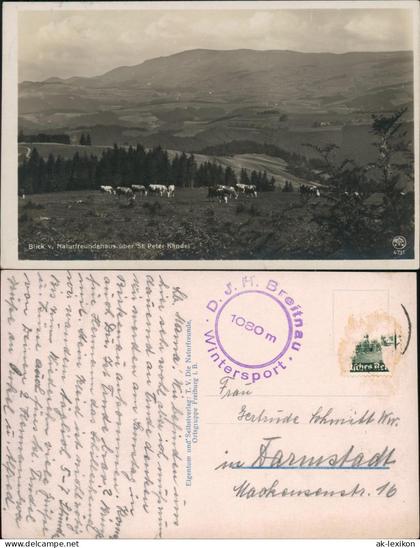 St. Peter (Hochschwarzwald)  Blick v. Naturfreundehaus   St. Peter-Kandel 1935