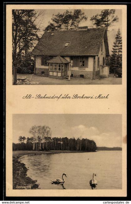 AK Alt-Stahnsdorf, Revierförsterei, Seepartie mit Schwanenpaar