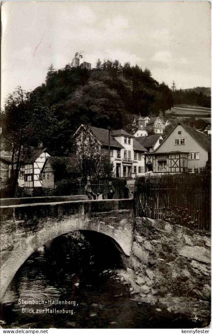 Steinbach-Hallenberg/Thür. - Blick zur Hallenburg