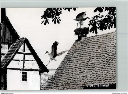 40104257 - Steinhude