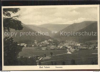 Tabarz Panorama