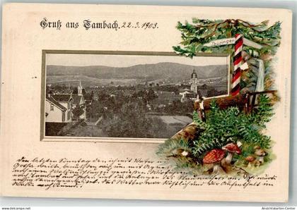 13526507 - Tambach-Dietharz , Thueringer Wald