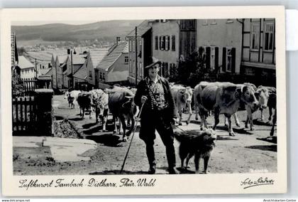 50854167 - Tambach-Dietharz , Thueringer Wald