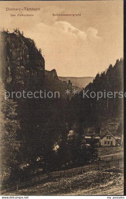 Tambach-Dietharz Der Falkenstein Schmalwassergrund