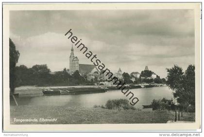Tangermünde - Elbansicht - Foto-Ansichtskarte 50er Jahre - Verlag Trinks & Co Leipzig