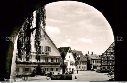 Tettnang Torbogen Altstadt Gasthof Baeren Brunnen