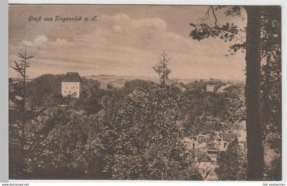 (65319) AK Gruß aus Ziegenrück, 1943