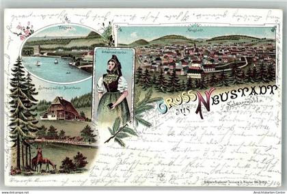 13584074 - Neustadt Titisee-Neustadt