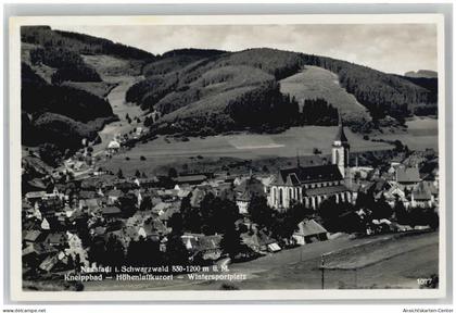 51660267 - Titisee-Neustadt