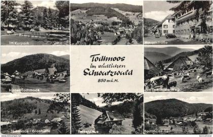 Todtmoos