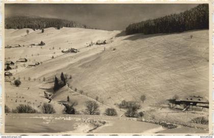 Todtnauberg Schwarzwald - Todtnau