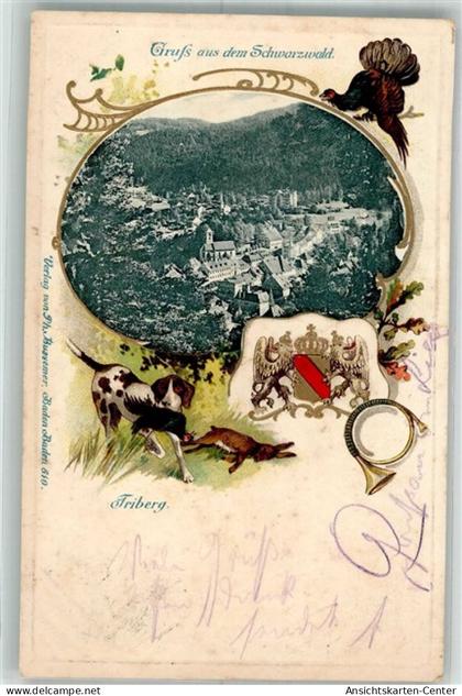 13310169 - Triberg im Schwarzwald