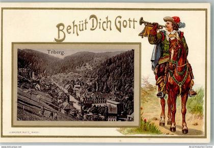 13579963 - Triberg im Schwarzwald