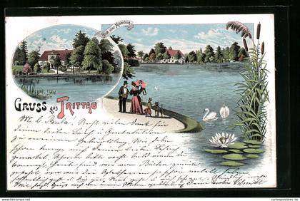 Lithographie Trittau, Mühlenteich mit Schwänen