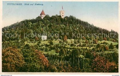 Tuttlingen Blick zur Honburg