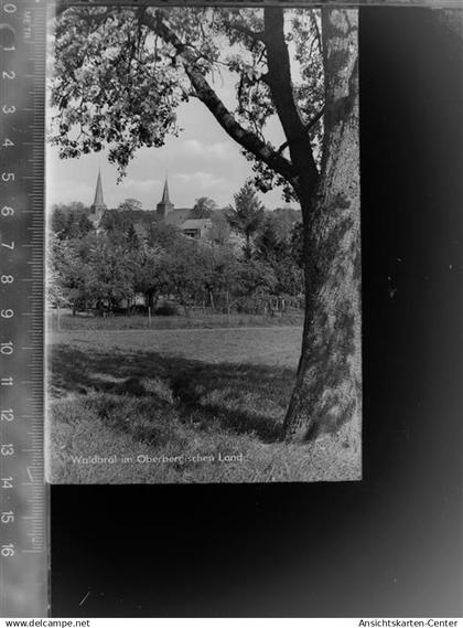 30060455 - Waldbroel