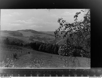 30065866 - Waldbroel