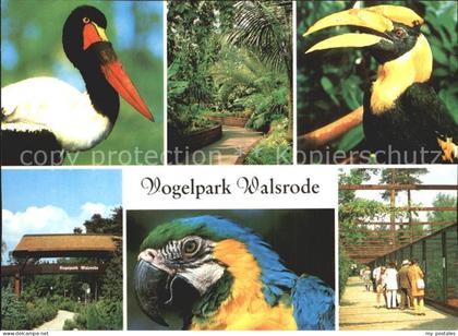 Walsrode Lueneburger Heide Vogelpark