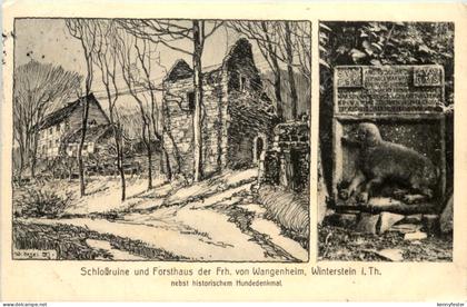 Waltershausen in Thüringen, Winterstein, Schlossruine und Forsthaus