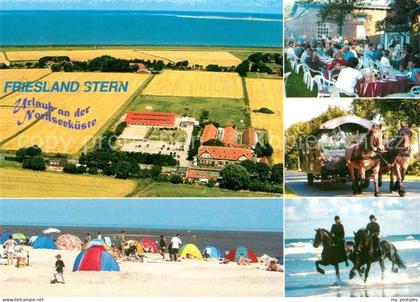 Wangerland Friesland Stern Strand Pferde Fliegeraufnahme Pferdewageb