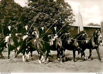 Warendorf NRW Hengstparade Landgestuet