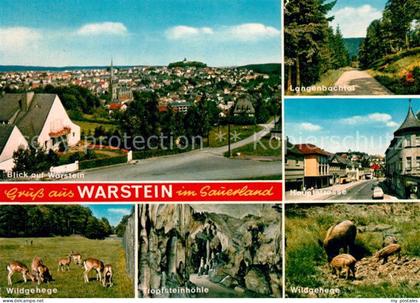 Warstein Hauptstrasse Wildgehege Tropfsteinhoehe