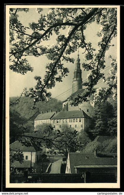 AK Weesenstein, Blick auf Schloss Weesenstein